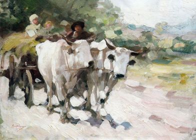 Oxcart