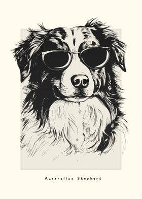 Australian Shepherd Sketch