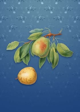 Pear on Bahama Blue