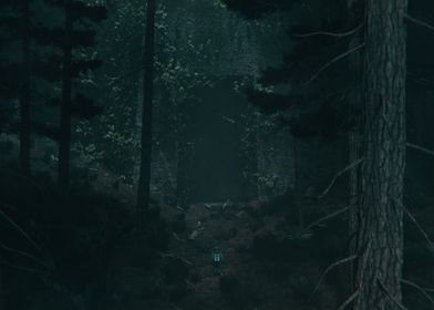 Dark Forest Scene 3 3D
