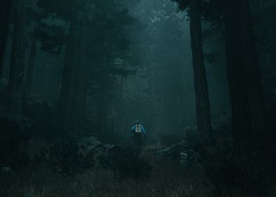 Dark Forest Scene 1 3D