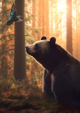 Hummingbird Nature Bear