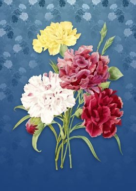 Carnation on Bahama Blue