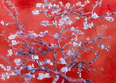 Almond Blossoms in Red
