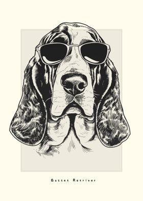 Basset Retriever Sketch