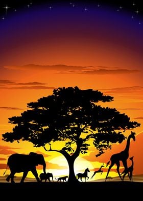 African Wild Animals