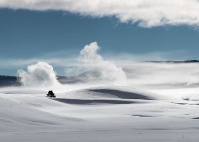 Snowscape and Winds