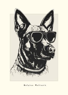 Belgian Malinois Sketch