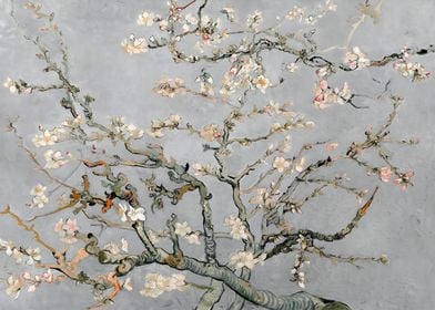 Almond Blossoms in Gray