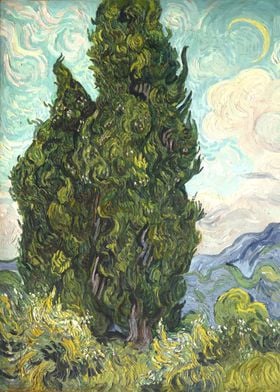 Cypresses Tree