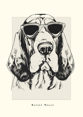 Basset Hound Illustration