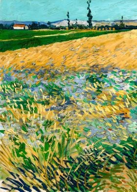 Van Gogh Summer Landscape