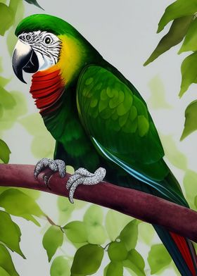 A parrot sitting on a tree