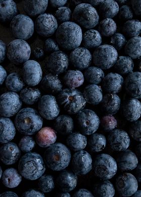 Fresh Blueberries