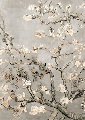 Almond Blossoms in Beige