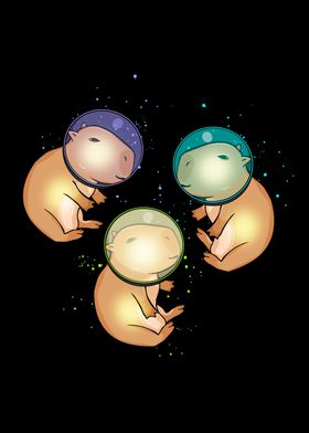 Astronaut Gift Capybara