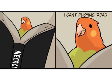 bird meme