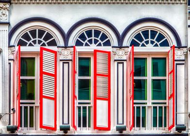 The Singapore Shophouse