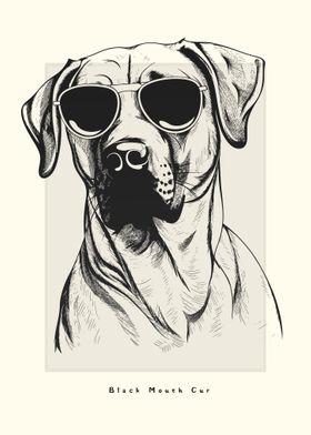 Black Mouth Cur Sketch