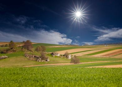 Spring landscape