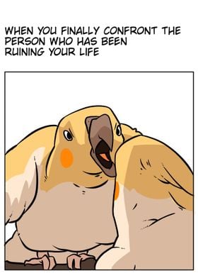 bird meme