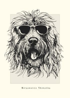 Bergamasco Sheepdog Sketch