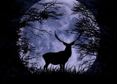 Stag In Moonlight