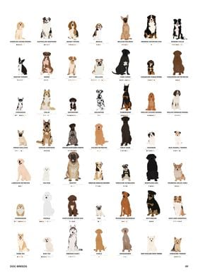 Dogs Illustration Chart 