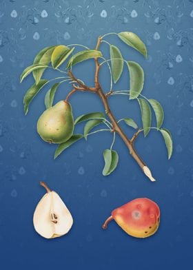 Pear on Bahama Blue