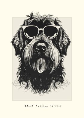 Black Russian Terrier Cool