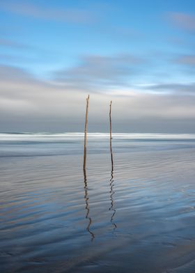 Sticks in the sand