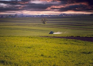 Spring fields, stormy sky