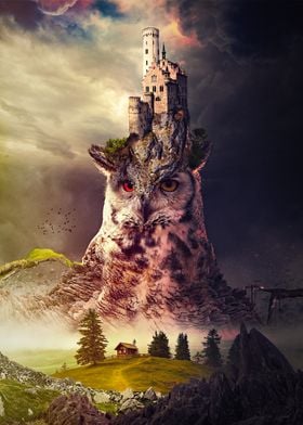 The Owl Tower