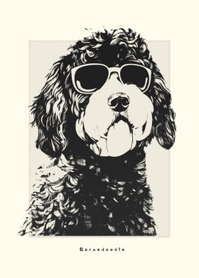 Bernedoodle Illustration