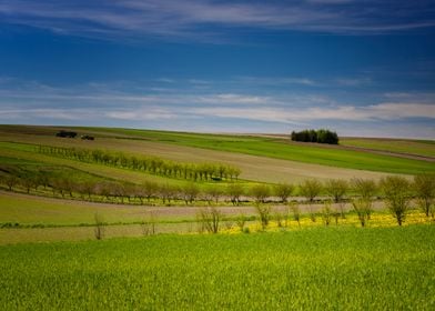 Picturesque spring scenery