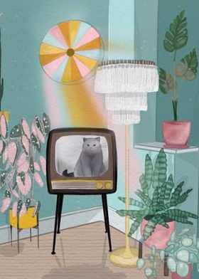 Cat in Old TV