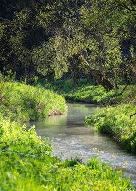 Spring stream, travel