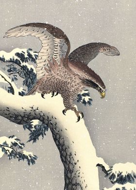 Eagle on Snowy Pine Tree