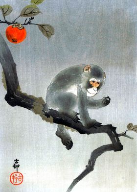 Monkey in Persimmon Tree