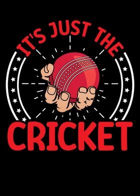 Its just the cricket ball