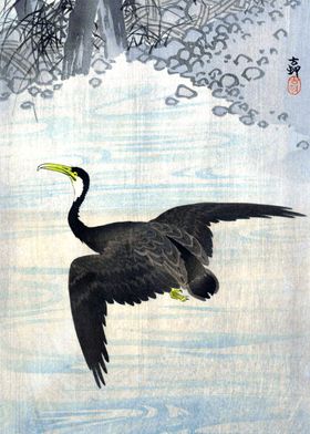 Cormorant in Flight