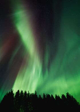 AURORA BOREALIS