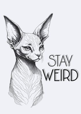 Funny Cat Stay Weird