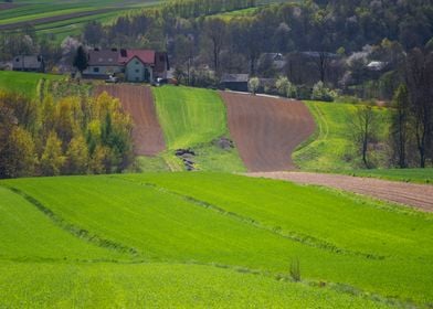 Rural spring scenery