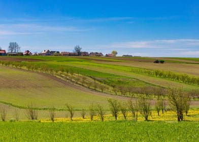 Rural landscape, Poland