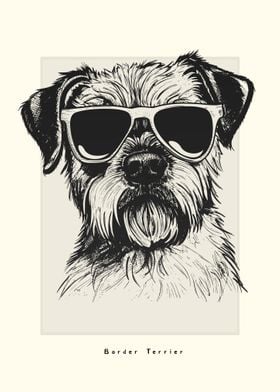 Border Terrier Sketch