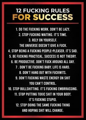 12 fucking rule to success