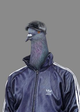 Pigeon Semyon