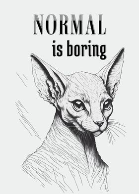 Normal Is Boring Cat