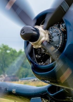 corsair on the ground